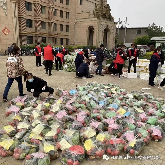 20220531不忘初心抗疫情 傾力奉獻顯擔當——記保定民建陽光支部會員王鵬2-1.jpg