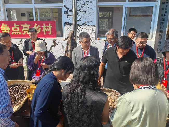民建會員參加海港區政協組織的助力鄉村振興新場景調研活動 (2).jpg