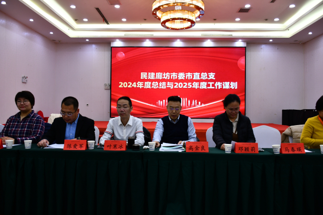 民建廊坊市委市直總支召開2024年工作總結及2025年工作謀劃會 (2).jpg