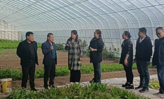 積極助力鄉村振興、深入開展對口聯系——民建承德市委企業委員會組織開展調研活動-1.jpg