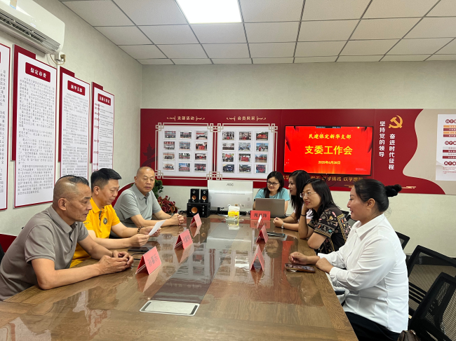 20250701凝心聚力謀發展 砥礪前行譜新篇——民建新華支部召開2025年度上半年工作總結暨下半年工作計劃部署會議 (2).jpg